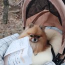 이담동물병원 이미지