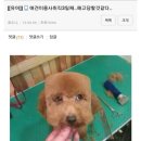 미용사