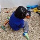 신나는 경제 탐험 | 양주키즈카페 추천 나비랑 키즈카페 방문 후기