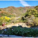 밸리 펜션 이미지