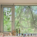 스테이 느긋하게 이미지