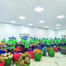 녹색자원 이미지