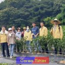 상교동주민센터 이미지