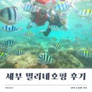 세부 2026 밀리네호핑 후기 가족 아이와 호핑투어 솔직후기