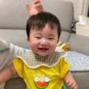 뱃골어린이공원 | [생생 육아일기] 어버이날 / 봄과 여름의 사이 / 눈물의 이유식먹이기 : 별짓 다해봤는데 🥲 / 베베스타...