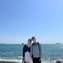 자갈마당식당 | [부산 여행중 가장 기억에 남는 장소] 태종대 ‘자갈마당’ 포토존 강추!!💜💜💜