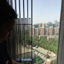누오(nuo) 이미지