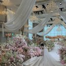 화이트홀 이미지