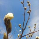 희수농장 이미지