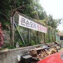 큰손 오리농장 네이버블로그