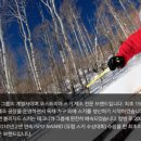 강남듀러블스포츠 이미지