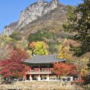 (주)지마켓 | 내장산 단풍 현황과 버스투어 솔직후기 &amp; G마켓 할인