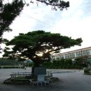 도사초등학교 이미지