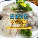 서울근교 당일치기 놀러가기 좋은곳 싱싱한 해산물과 회가 맛있는 강화도모듬회 바다뷰 맛집 외포횟집 추천
