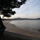 학암포 주차장 이미지