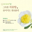 사랑틔움