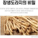 장생약국 이미지