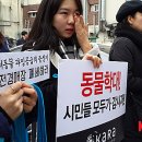 대전애견경매장 이미지