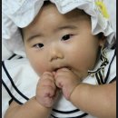 서하 - 해운대구 재반로242번길 11 | 서하