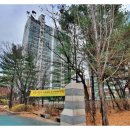 세무법인지안 이미지