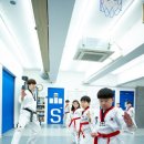 용인대석사백인태권도장 이미지