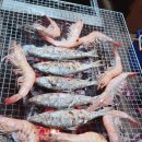 간월도펜션.수산 이미지