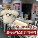 으뜸50안경 망원점 | 망원 안경 어디가 제일 저렴할까? | 으뜸플러스안경 망원점