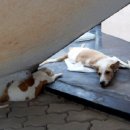 베토퀴놀코리아(주) 이미지