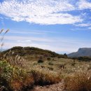 방기초등학교 이미지