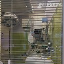 분당동물병원 분당고은동물병원 진료 전 체크해야 할 부분