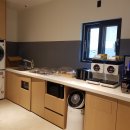 브라운도트 이미지