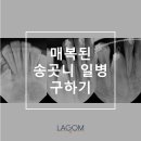 연세라곰치과의원 이미지