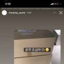 치팅오이스터