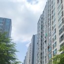 금돼지부동산공인중개사사무소 이미지