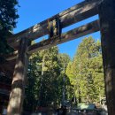 세계문화유산인문학 | 세계문화유산 닛코 동조궁 후기! 삼원지 원숭이 조각과 오쿠샤 묘소