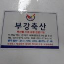 부강축산 Daum카페