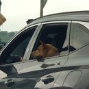 멍스퀘어 이미지