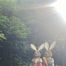 씨유서귀영락해안도로점