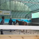 그린승마랜드 이미지