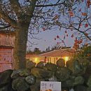 갈보리세탁소 | San Diego 어학연수 3주차