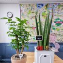 대원일등공인중개사사무소 이미지