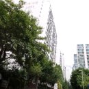 성신초등학교 이미지