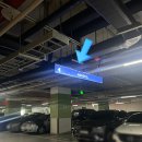 블리스 앤(BLISS &) | 드래곤시티 푸드익스체인지 런치 찐만족 후기(feat.블리스카드7)