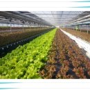 고양1호농장 이미지