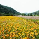 기아오토큐(월계점) 이미지