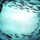 데이비스농장 이미지