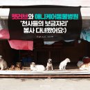 애니케어동물병원 이미지