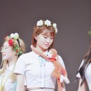 모모 이미지