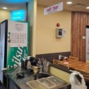 영도유통 | 부산 영도 중화요리 맛집 / 상상짬뽕 영도점