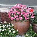 김여사부동산공인중개사사무소 이미지